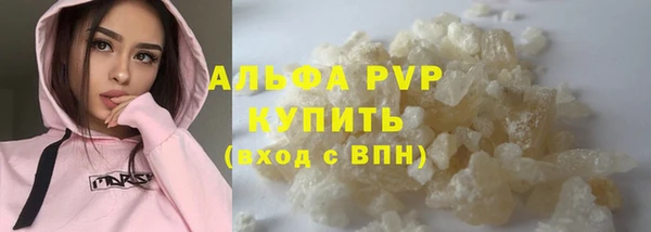 a pvp Пересвет