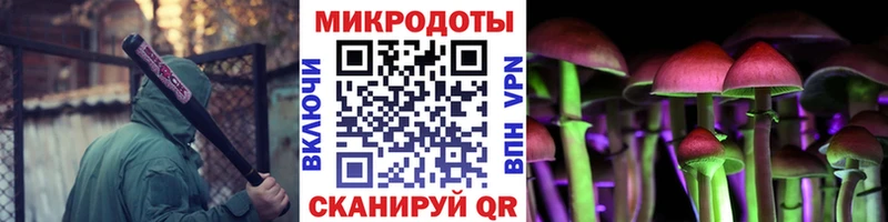 Псилоцибиновые грибы Psilocybine cubensis Советск