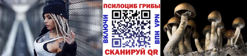 маркетплейс наркотические препараты blacksprut зеркало Советск купить закладку Галлюциногенные грибы прущие грибы