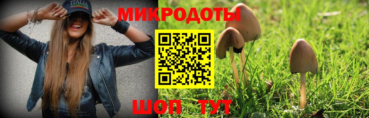 Псилоцибиновые грибы Magic Shrooms  Галлюциногенные грибы прущие грибы  Советск  Вход с VPN 