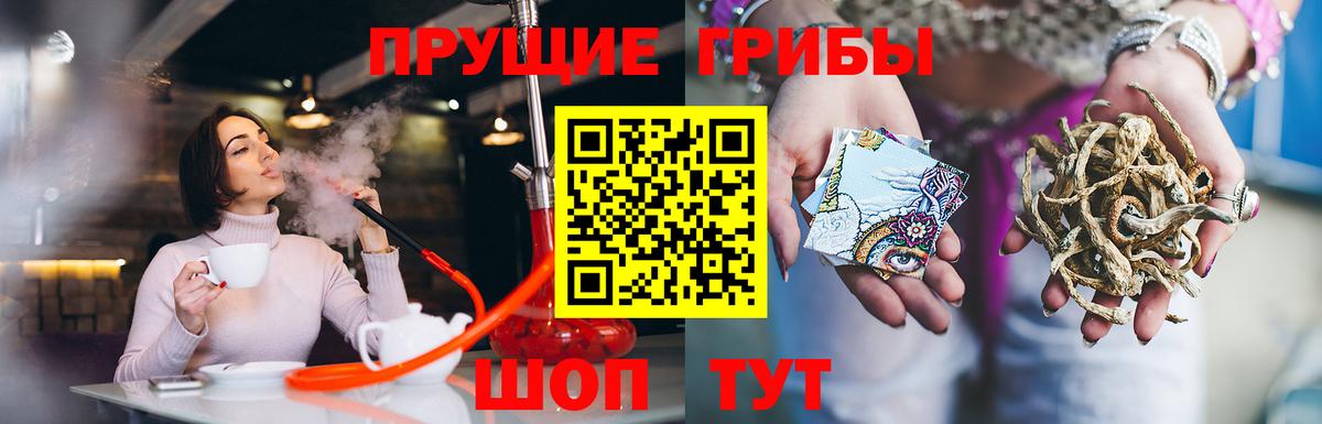 Псилоцибиновые грибы прущие грибы Советск